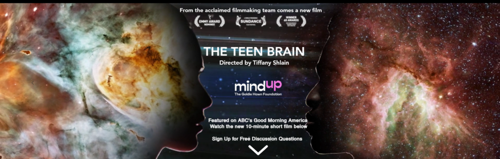 Teen Brain