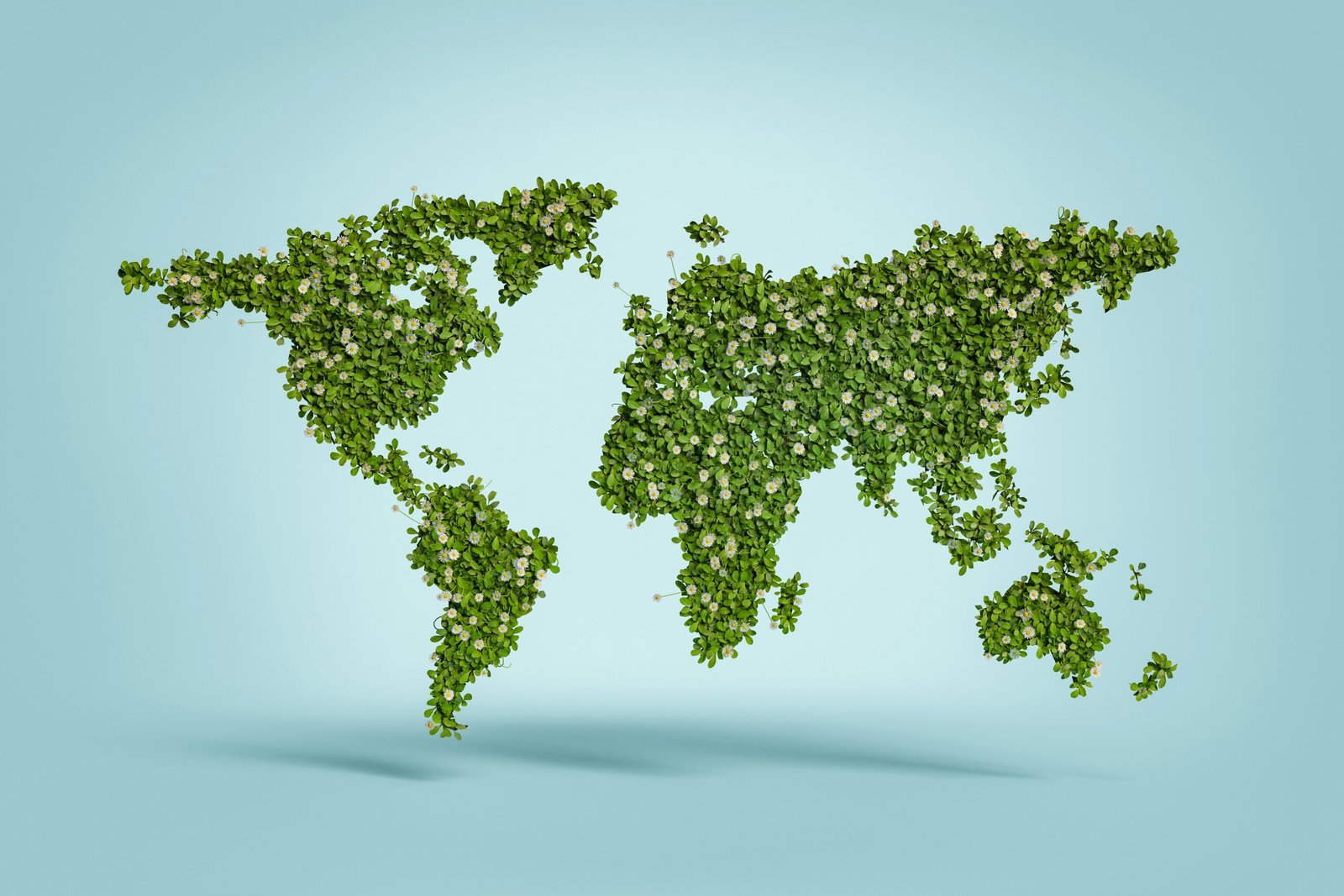 world map in vegetation climate curriculum